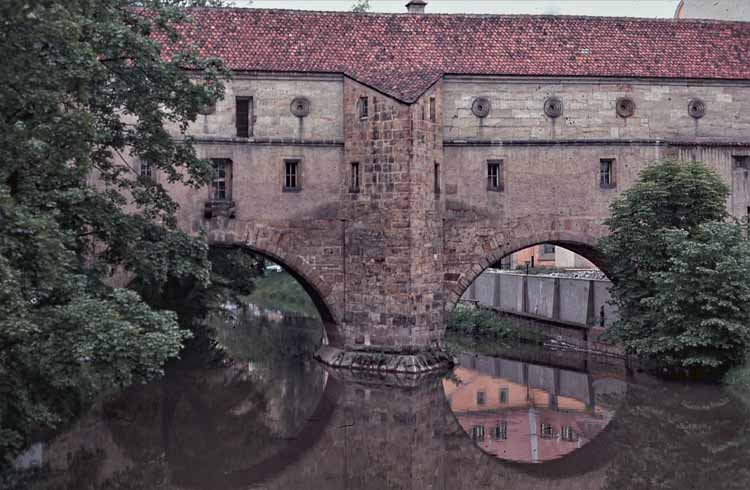 reflection in water